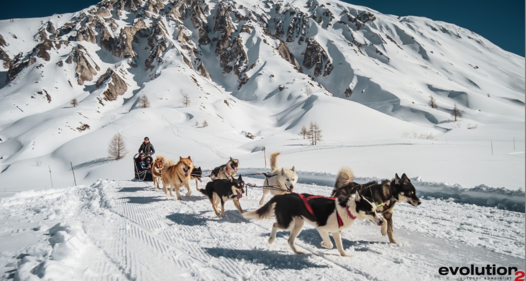 traîneau à chiens - Tignes